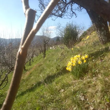 Farm stay La Vite Rossa Carro