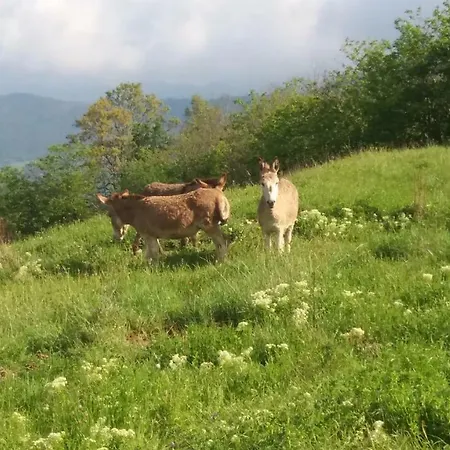 La Vite Rossa Κατάλυμα σε φάρμα *