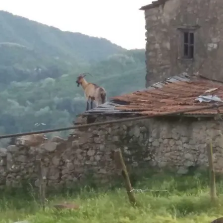 La Vite Rossa Κατάλυμα σε φάρμα *