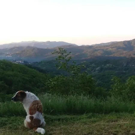 La Vite Rossa *