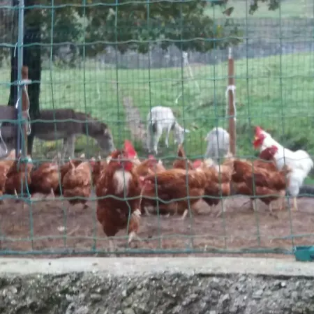 Κατάλυμα σε φάρμα La Vite Rossa Carro