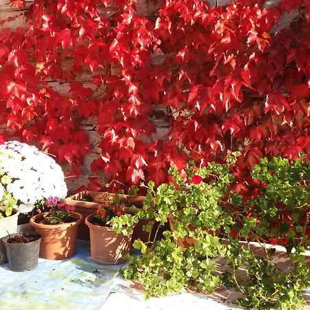 La Vite Rossa Farm stay