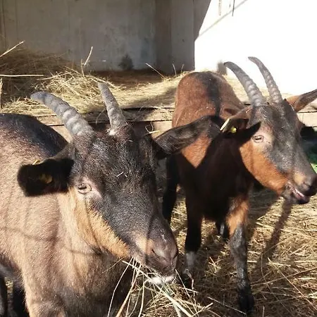 La Vite Rossa Farm stay Carro